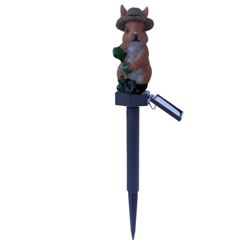 Texvora Solar Harz Eichhörnchen Gartenleuchte Outdoor Tierfigur mit Polysiliziumplatte witterungsbeständig Erdspieß für einfache Installation von Texvora