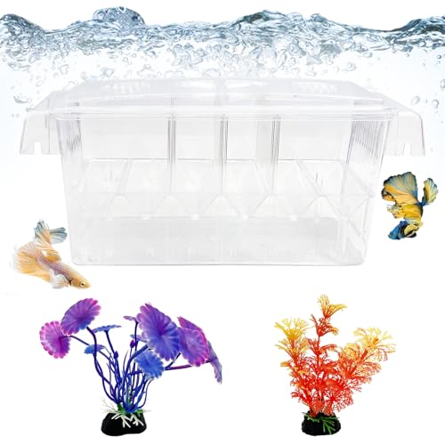Tfwadmx Fischzuchtbox - 4 Zimmer HD Aquarium Züchter mit Saugnäpfen, Baby Hatchery Acryl Inkubator Isolationsbox, Kunstpflanze für Guppy Hatchery von Tfwadmx