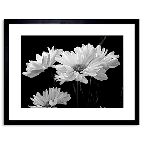 NATURE FLOWERS DAISY BLACK WHITE FRAMED ART PRINT POSTER F97X12355 von Wee Blue Coo