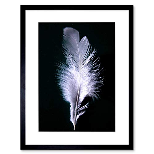 The Art Stop Photo MODERN Black White Feather Bird Framed Print F12X4074 von The Art Stop