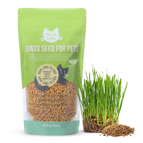 The Cat Ladies 2X Katzengras Samen - 2er Pack Katzen Gras Samen für Balkon oder Wohnung - 2er Set Katzengrassamen - Fress Gras für die Katze - Cat Grass Seed Set von The Cat Ladies
