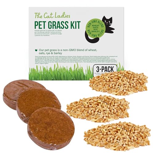 The Cat Ladies Katzengras Samen Nachfüllpackung - Cat Grass und Kokoserde - Katzengras für Katzen - Nachfüllpackung von The Cat Ladies