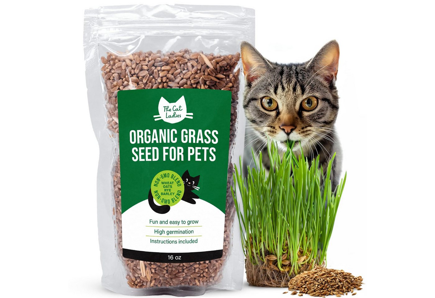 The Cat Ladies Rasensamen 2x Katzengras Samen 2er Pack Katzen Gras Samen für Balkon oder Wohnung, 2er Set Katzengrassamen Fress Gras für die Katze Cat Grass Seed Set The Cat Ladies Rasensamen 2x Katzengras Samen 2er Pack Katzen Gras Samen für Balkon oder Wohnung, 2er Set Katzengrassamen Fress Gras für die Katze Cat Grass Seed Set von The Cat Ladies