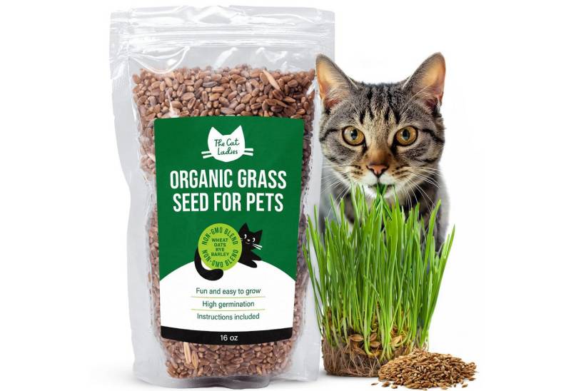 The Cat Ladies Rasensamen 2x Katzengras Samen 2er Pack Katzen Gras Samen für Balkon oder Wohnung, 2er Set Katzengrassamen Fress Gras für die Katze Cat Grass Seed Set The Cat Ladies Rasensamen 2x Katzengras Samen 2er Pack Katzen Gras Samen für Balkon oder Wohnung, 2er Set Katzengrassamen Fress Gras für die Katze Cat Grass Seed Set von The Cat Ladies