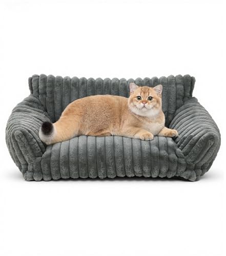 The Fellie Katzenbett für Hauskatzen, flauschiges Katzenbett für kleine, mittelgroße und große Katzen, großes Hundesofa mit rutschfester Unterseite, Haustiersofa waschbar für Katzen und Hunde The Fellie Katzenbett für Hauskatzen, flauschiges Katzenbett für kleine, mittelgroße und große Katzen, großes Hundesofa mit rutschfester Unterseite, Haustiersofa waschbar für Katzen und Hunde von The Fellie