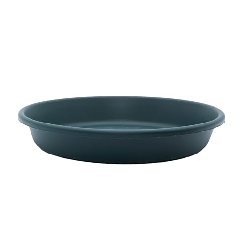 The HC Companies 25,4 cm runder Kunststoff-Pflanzuntersetzer – für drinnen und draußen, Pflanzschalen für Töpfe – 27,3 x 27,3 x 4,4 cm, immergrün The HC Companies 25,4 cm runder Kunststoff-Pflanzuntersetzer – für drinnen und draußen, Pflanzschalen für Töpfe – 27,3 x 27,3 x 4,4 cm, immergrün von The HC Companies