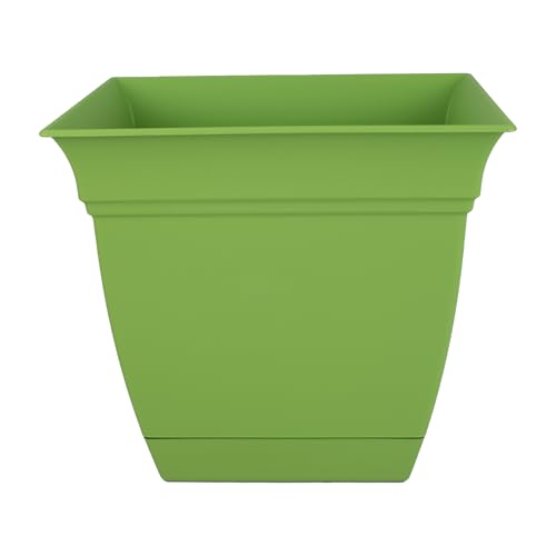 The HC Companies 6 Zoll Eclipse Quadratischer Übertopf mit Untersetzer - Indoor Outdoor Blumentopf für Blumen Gemüse Kräuter Peridot Grün The HC Companies 6 Zoll Eclipse Quadratischer Übertopf mit Untersetzer - Indoor Outdoor Blumentopf für Blumen Gemüse Kräuter Peridot Grün von The HC Companies