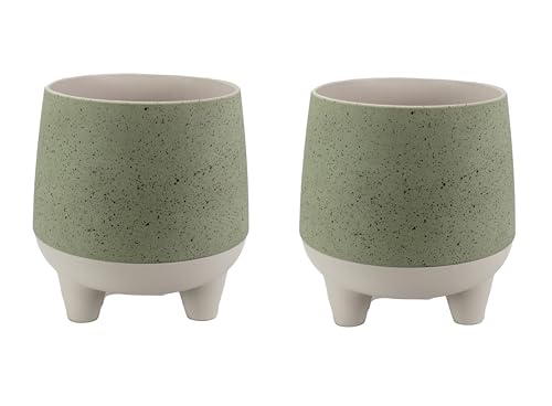 The HC Companies Orion selbstbewässernder Übertopf – Leichter Kunststoff-Pflanztopf für Kräuter und Blumen, Salbei (2 Stück) von The HC Companies