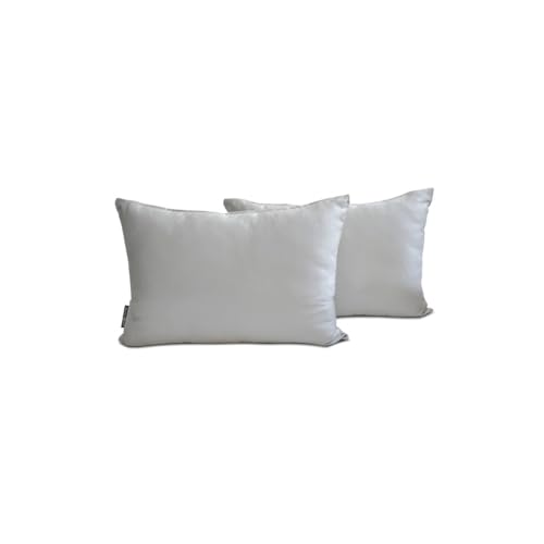 The HomeCentric Luxus Hellgrau Lendenkissenbezug 2 Stück, 30x50 cm Satin Kissenhülle Solide, Länglicher Kissenbezug, Modern Lendenkissenbezug - Light Gray Slub Satin von The HomeCentric