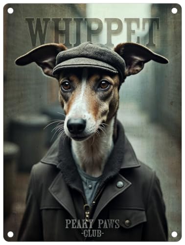 Kleines (150 x 200 mm) Metallschild – Peaky Paws Club – Whippet von The Original Metal Sign