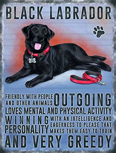 Schwarzer Labrador Hund Kühlschrank Magnet – ausgehendem, Winning Persönlichkeit, Sehr Greedy..... Schwarzer Labrador Hund Kühlschrank Magnet – ausgehendem, Winning Persönlichkeit, Sehr Greedy..... von The Original Metal Sign