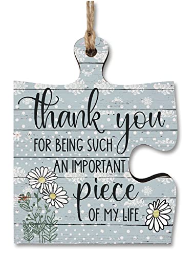 The Plum Penguin - Puzzle-Form, rustikal, dekoratives Holz-Puzzleteil zum Aufhängen, Motiv: 'Thank You Important Piece of my Life', 100 x 100 mm, MDF, Wandschild The Plum Penguin - Puzzle-Form, rustikal, dekoratives Holz-Puzzleteil zum Aufhängen, Motiv: 'Thank You Important Piece of my Life', 100 x 100 mm, MDF, Wandschild von The Plum Penguin