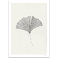 The Poster Club - Ginkgo Leaf von Ana Frois, 50 x 70 cm von The Poster Club ApS