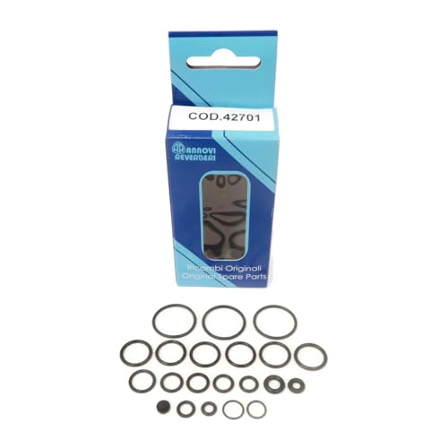 Original OEM Annovi Reverberi O-Ring-Reparatursatz für RMV25G30D-EZ, RMV25G30-EZ, RMW25G28-EZ von The ROP Shop