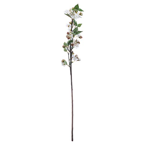 The Recipe Blütenblumen-Zweig, Kunststoff, Braun/Weiß/Grün, 7.84 cm von The Recipe