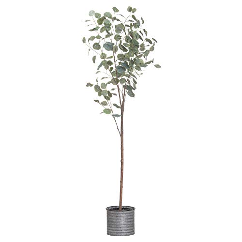 The Recipe Eukalyptus-Baum, Kunststoff, Grün, 66.64 cm von Hill Interiors