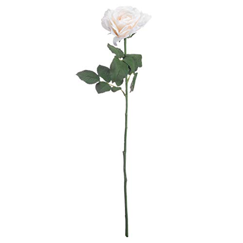 The Recipe Garten Rose, Kunststoff, Weiss, 11.76 cm von The Recipe