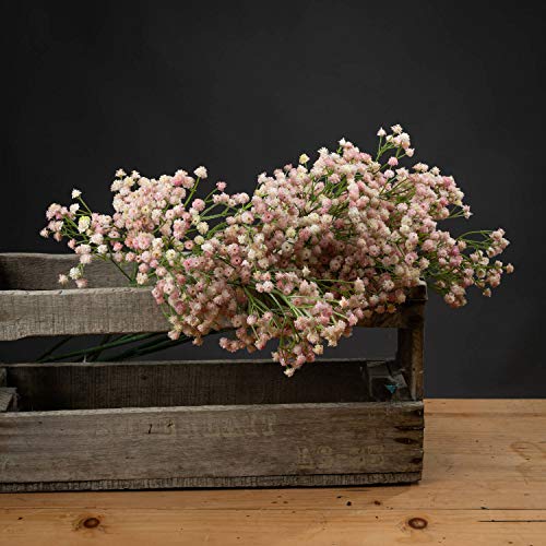 The Recipe Gypsophilia, Kunststoff, Rosa, 27.44 cm von Hill Interiors