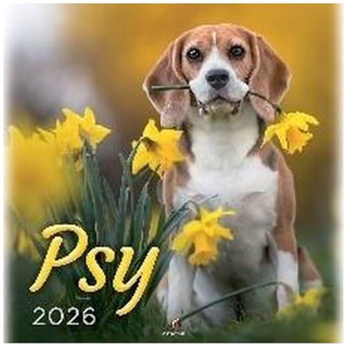 Kalendarz 2026 Wieloplanszowy 33 x 33 cm Psy Polski Kalendarz 2026 Organizer Terminarz Datownik Kalendarz 2026 Wieloplanszowy 33 x 33 cm Psy Polski Kalendarz 2026 Organizer Terminarz Datownik von The Screwed