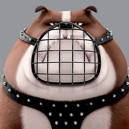 The Secret Life of Pets Leinwanddruck, Holz, Mehrfarbig, 40 x 40 cm von Pyramid International