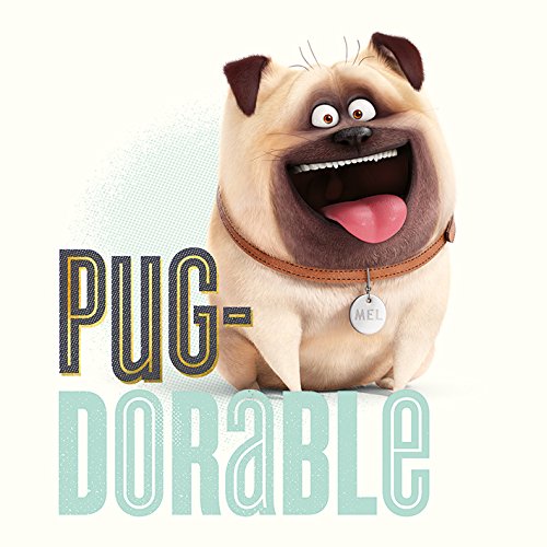 The Secret Life of Pets Leinwanddruck, Polyester, Mehrfarbig, 40 x 40 cm von The Secret Life of Pets