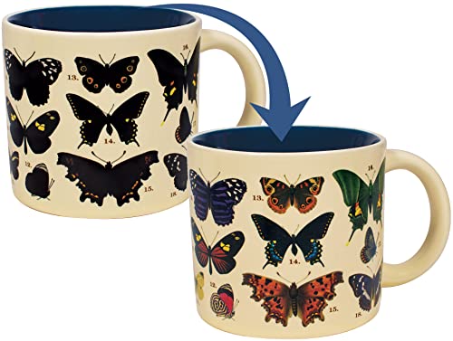 Tasse mit Schmetterlingsmotiv, wärmewechselnd, offenbart 18 Arten mit gemeinsamen und lateinischen Namen auf der Unterseite von The Unemployed Philosophers Guild