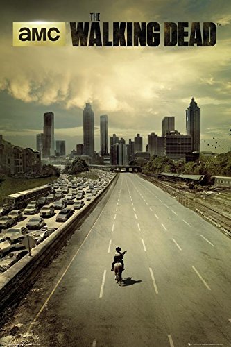 The Walking Dead Poster - Dead City aus Staffel 1 + Geschenkverpackung. Verschenkfertig! von The Walking Dead