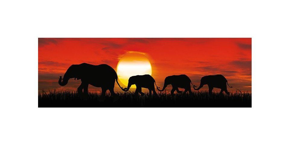 The Wall - the art of framing AG Wandbild Deco-Panel Bild - Sunset Elefants 90 x 29 cm von The Wall - the art of framing AG