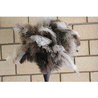Extra Großer Weicher Vollkopf Straußenfeder Staubwedel Klarlack Holzgriff 90 cm Insgesamt von TheAustDusterCo
