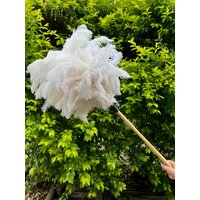 Feinster Extra Großer Weißer Straußenfeder Staubwedel Mit Holzgriffen, 60 cm Gesamtlänge, Professionelles Modell Feinster Extra Großer Weißer Straußenfeder Staubwedel Mit Holzgriffen, 60 cm Gesamtlänge, Professionelles Modell von TheAustDusterCo