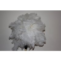 Neues Design Extra Großer Weißer Strauß Staubwedel Erste Klasse Sehr Schwerer Federkopf 50cm Insgesamt Neues Design Extra Großer Weißer Strauß Staubwedel Erste Klasse Sehr Schwerer Federkopf 50cm Insgesamt von TheAustDusterCo