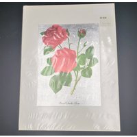 Neuer Vintage Dufex Foliendruck Prinz Charles Rose 9" X 12" Mit Mattierung von TheBeeskneesTreasure