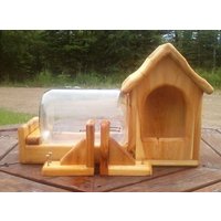 Fence Mount Gallon Glass Jar Eichhörnchen Zubringer Zedernholz Tbnup 1 von TheBirdsNestUP