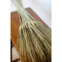 Getrockneter Weizenbundle, Getrockneter Weizen, Bärtiger Weizenbündel, Getrocknete Körner, Grüner Grüne Körner von TheBlaithinBlairShop