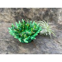 Handgefertigter Magnet Und Luftpflanzenhalter von TheBlueMuseCreations