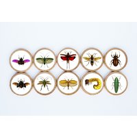 Insekten Magnet Set/10Er 2 3/8 X 1/4 Zoll 1 Kühlschrankmagnete Montessori Lehrergeschenk Kinder Käfermagnete von TheButtercupHouse