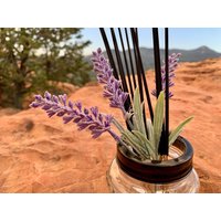 Lavendel Weihrauch | 10 Pack von TheCelticsBrew