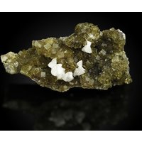 Fluorit Mit Baryt & Pyrit Moscona Mine, Asturien Spanien Wunderschön Gelbe M-18 von TheCitrinCollecion