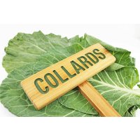 Collards Gartenschild, Zedernholz-Zeichen, Collard Green Gemüsepflanzengartenmarker von TheCommonSign