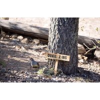 Quail X-Ing Kreuzung Zeichen, Vorsicht Yard Hand Geroutet Wachtel Geschnitzte Holz Schild, Tier Beschilderung, Benutzerdefinierte Personalisiert von TheCommonSign