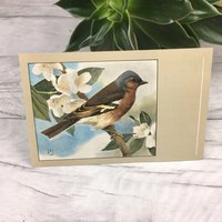 Vintage Buchfink Postkartenprint 1970Er Jahre Blühender Vogel Vintage Buchfink Postkartenprint 1970Er Jahre Blühender Vogel von TheDorothyDays