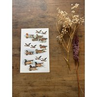 Vintage Tauben Wildvögel Print Illustrierte Vogel Kunst Vintage Tauben Wildvögel Print Illustrierte Vogel Kunst von TheDorothyDays