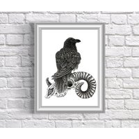 Rabe Auf Schafbock Tattoo Flash Style Fine Line Schwarzweiß Illustration A4/A5 Portrait Print Rabe Auf Schafbock Tattoo Flash Style Fine Line Schwarzweiß Illustration A4/A5 Portrait Print von TheDrawOfTheVoid