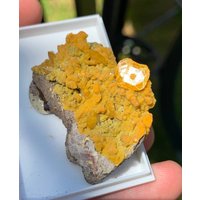 Wulfenit Mit Mimetite || Siler Dollor Mine, Austin, Lyon Co, Nevada, Usa von TheGemstoneMatrix