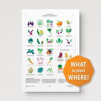 Begleiter Pflanzanleitung | Poster A2 Kompatibel Mit Gartengemüse Gartenarbeit Geschenk Umweltfreundliche Gartendekoration Perfektes Für Gärtner von TheGreenConspiracy