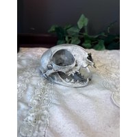 Gothic Katzenschädel Replikat Dekor von TheGreyHouseshop