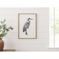 Große Reiher Zeichnung | Schwarz-Weiß Wasservogel Kunstdruck Wasservögel Schwarzvogel Druck Vogelliebhaber Geschenk Vogel Wadenvogel von TheHomebirdies