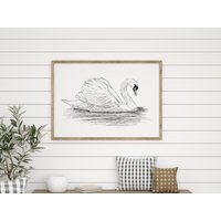 Trompeter Schwan Illustration | Wissenschaftliche Vogel Wandkunst Vogelliebhaber Geschenk "Anmutiger Schwan" von TheHomebirdies