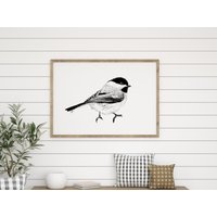 Vogel Illustration | Chickadee Wissenschaftliche Zeichnung Wand Kunst Carolina Schwarz Weiß von TheHomebirdies