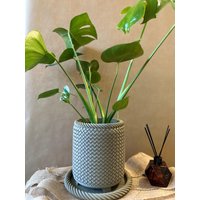 Moderner 3D-Gedruckter Pflanztopf Im Flechtdesign - Stilvoller Indoor-Topf von TheIvoryNest